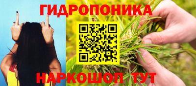 тгк Бузулук
