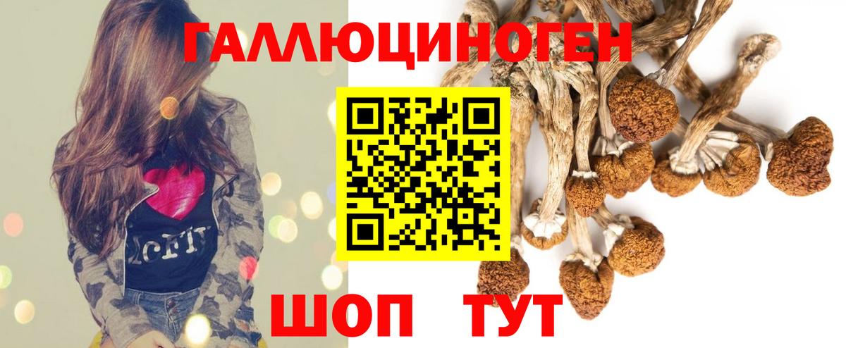 Псилоцибиновые грибы MAGIC MUSHROOMS Кудрово