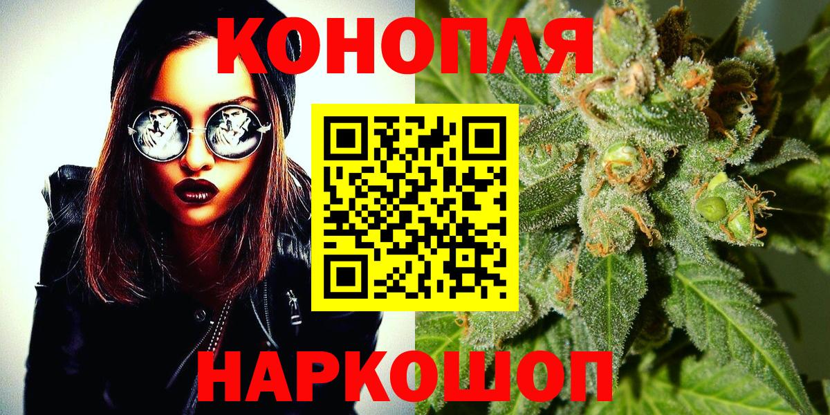 Конопля план Кудрово